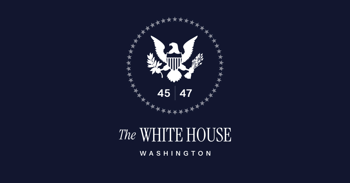 ADVANCING ARTIFICIAL INTELLIGENCE EDUCATION FOR AMERICAN YOUTH