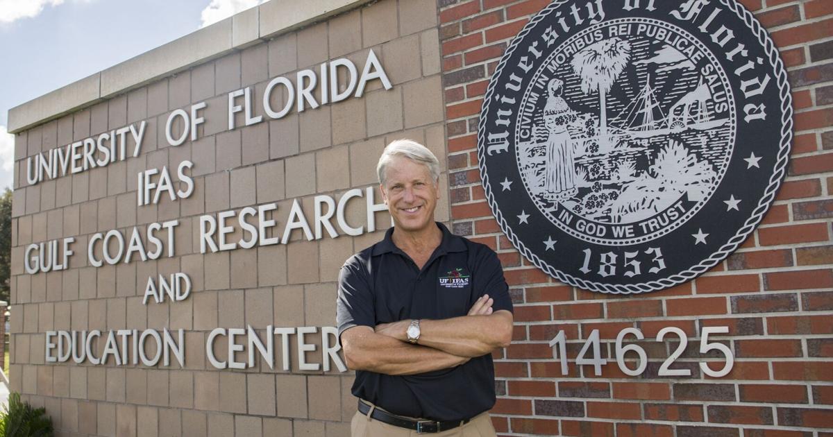 Image for AI center will be part of UF Gulf Coast Research and Education Center
