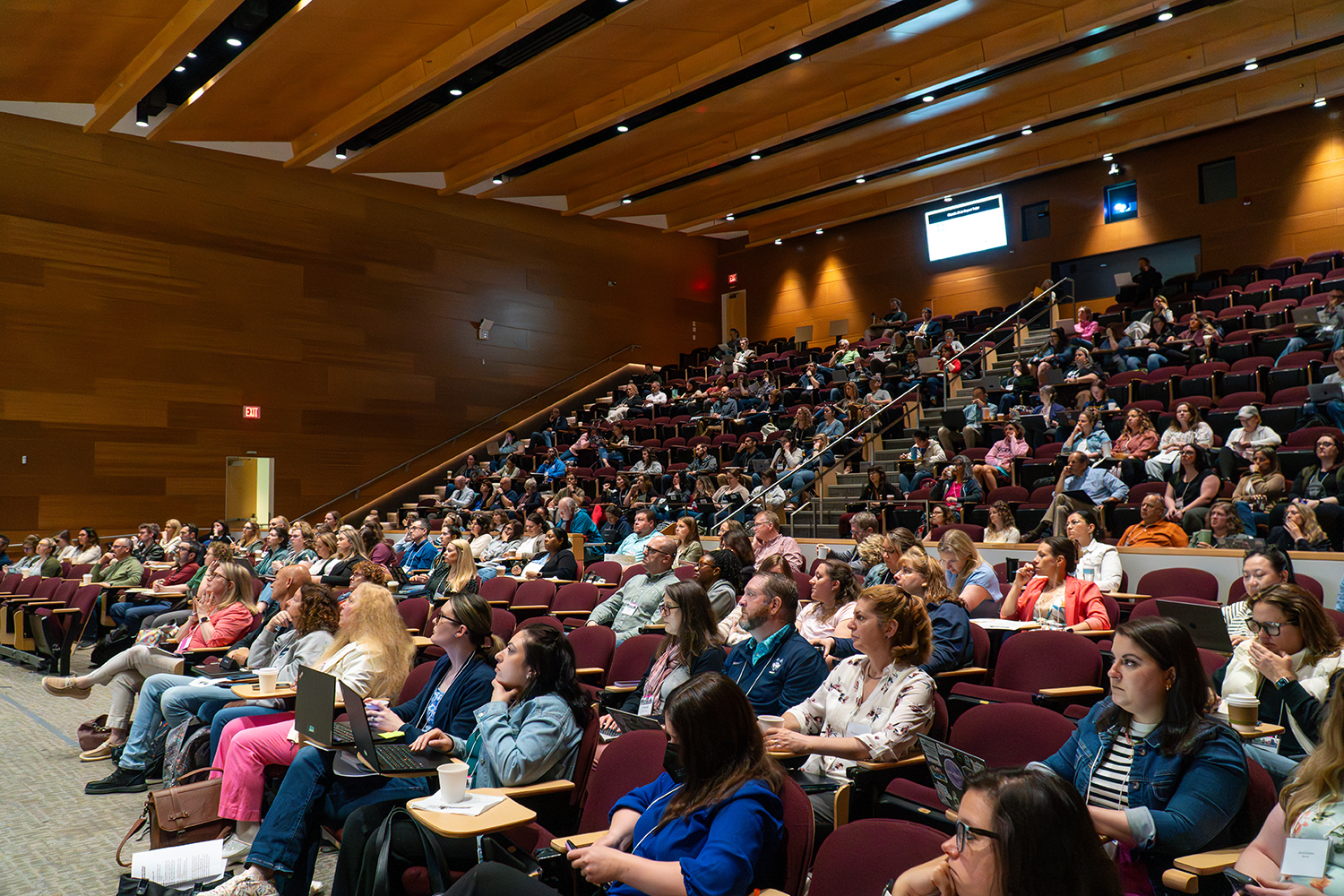 AI in K-12 Education: Partners in Progress, Not Replacements