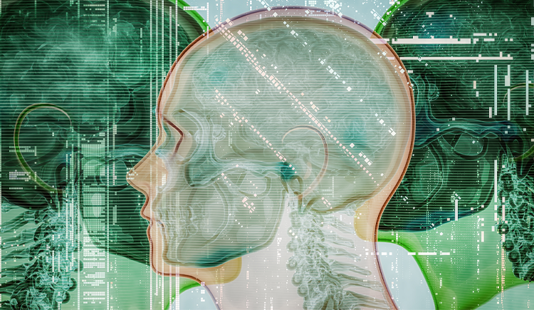 Image for An AI System With Detailed Diagnostic Reasoning Makes Its Case