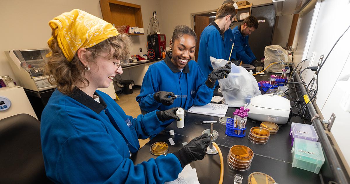 Image for App State earns R2 designation for high research activity and doctorate production