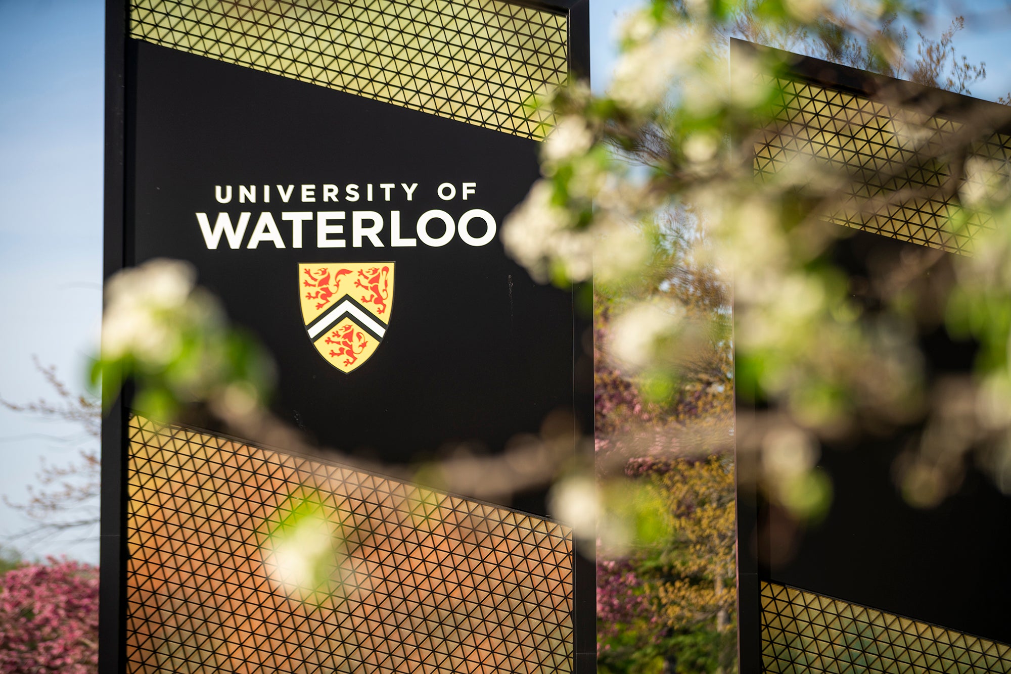 Image for Google partners with University of Waterloo to shape the future of work and learning