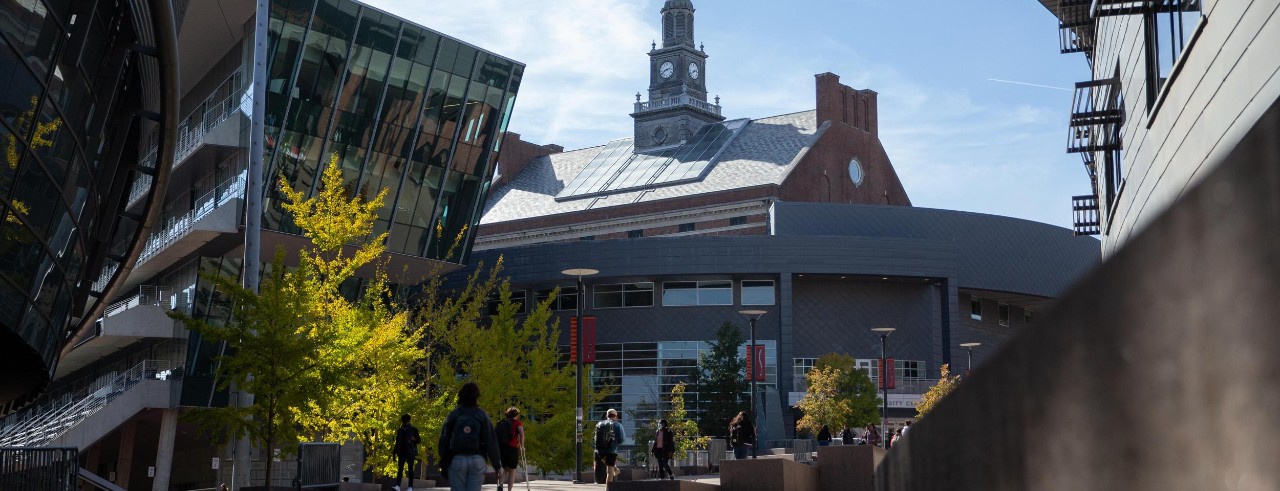 Image for New AI tools available to UC students, faculty and staff